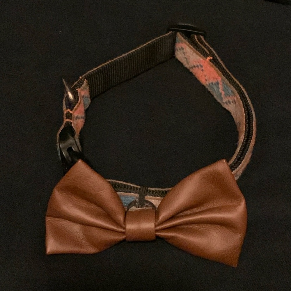 Bow tie dog collar